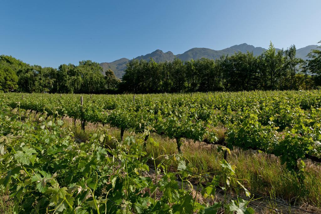 La Galiniere Guest Cottages Franschhoek Exterior photo
