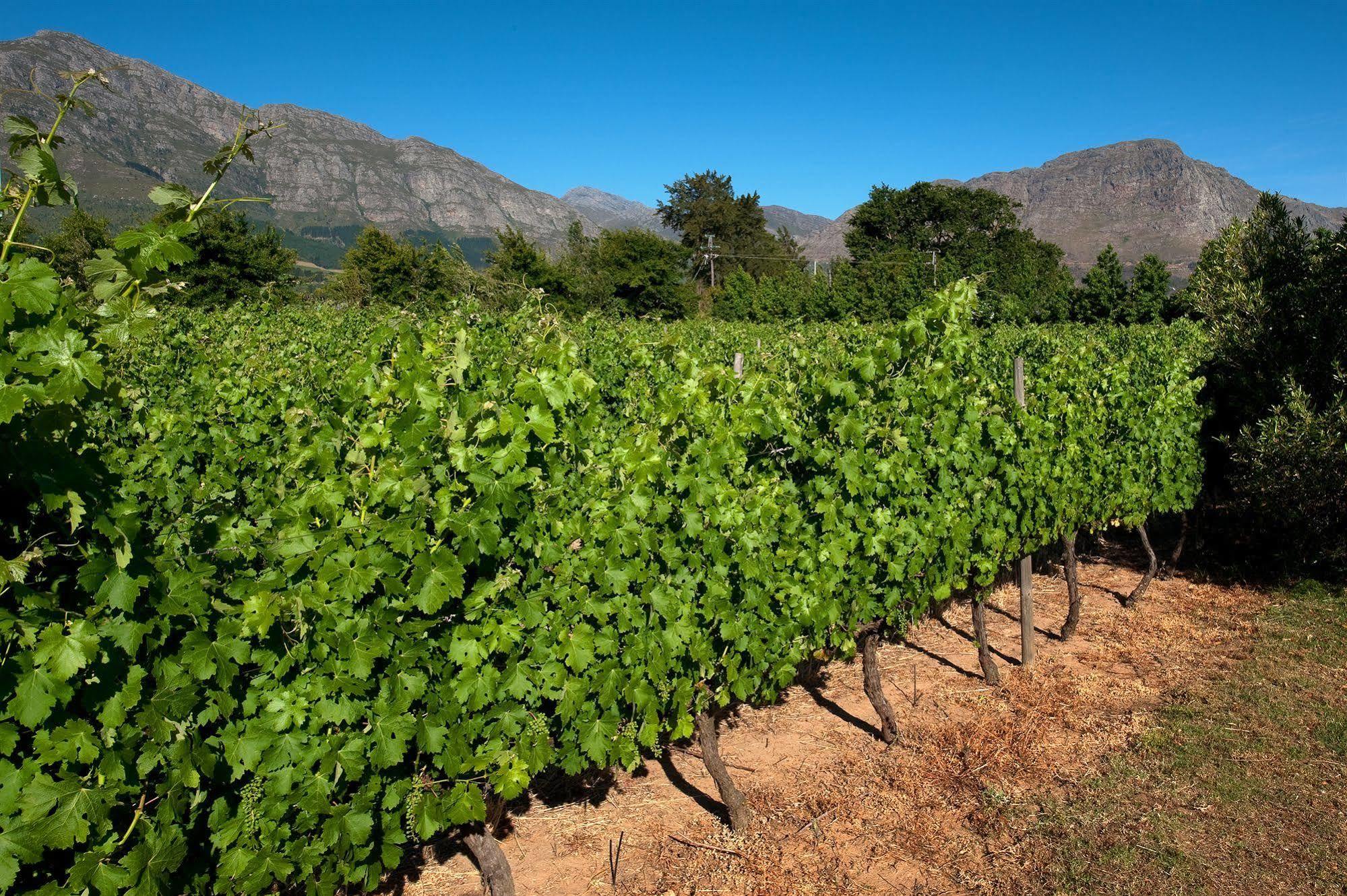 La Galiniere Guest Cottages Franschhoek Exterior photo